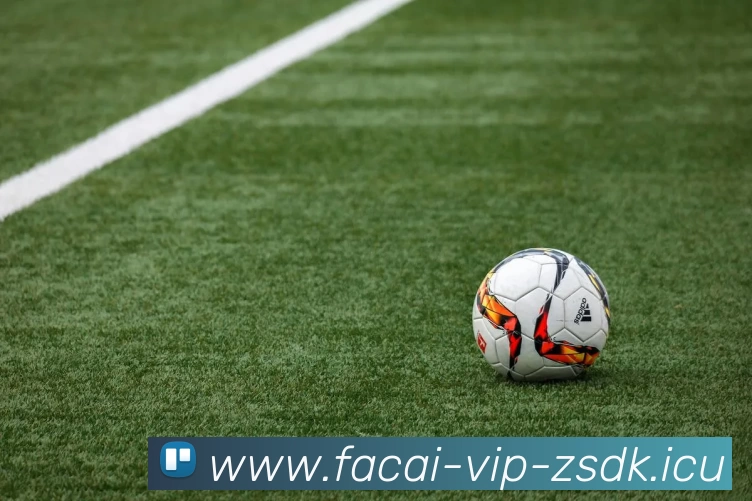 MK体育注册平台生态图