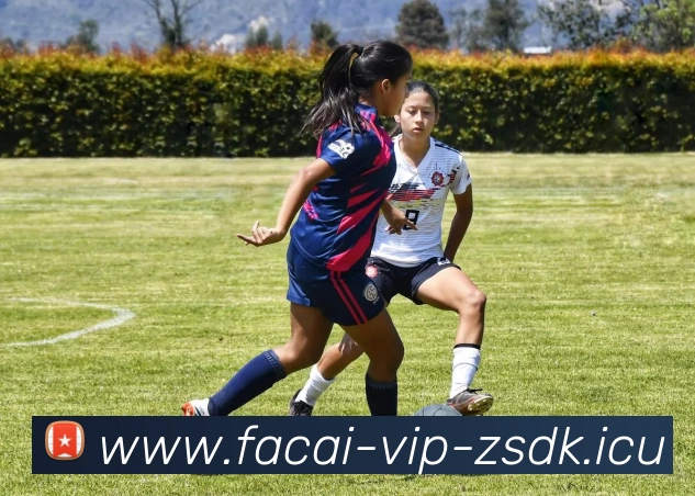 MK体育注册APP 封面图