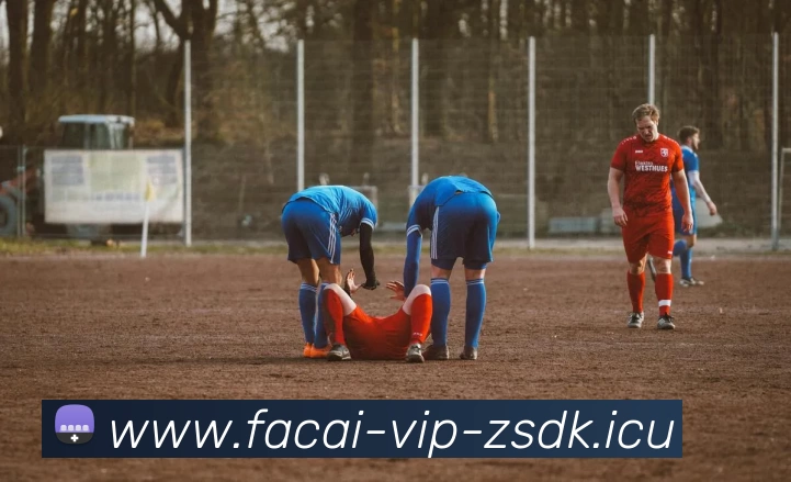 数据防护可视化